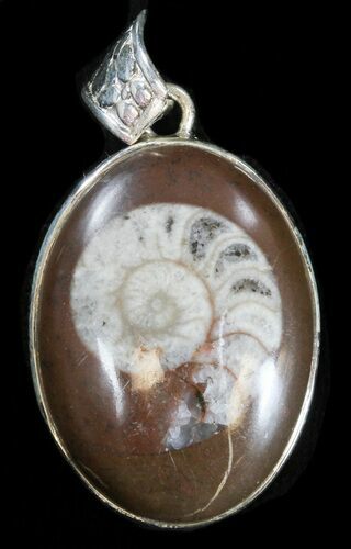 Fossil Goniatite Pendant - Sterling Silver #38087